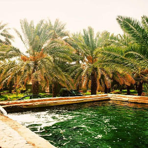 Garden of Salman al Farsi